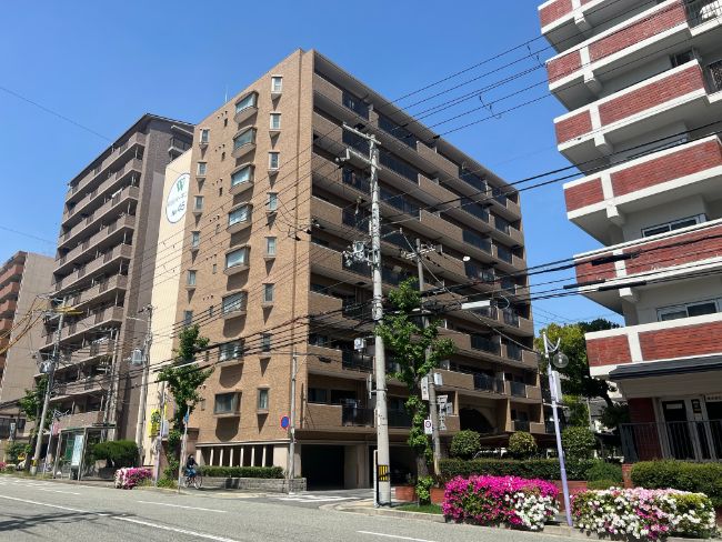 ワコーレファラオ本山
